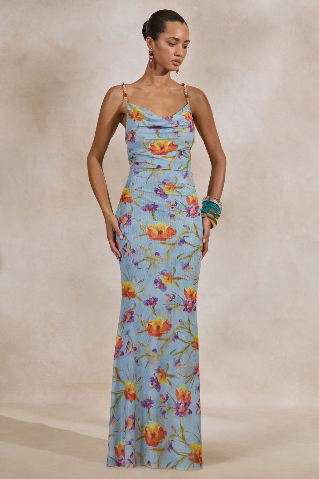 Raisa | Blue Floral Mesh Cowl-Neck Maxi Dress